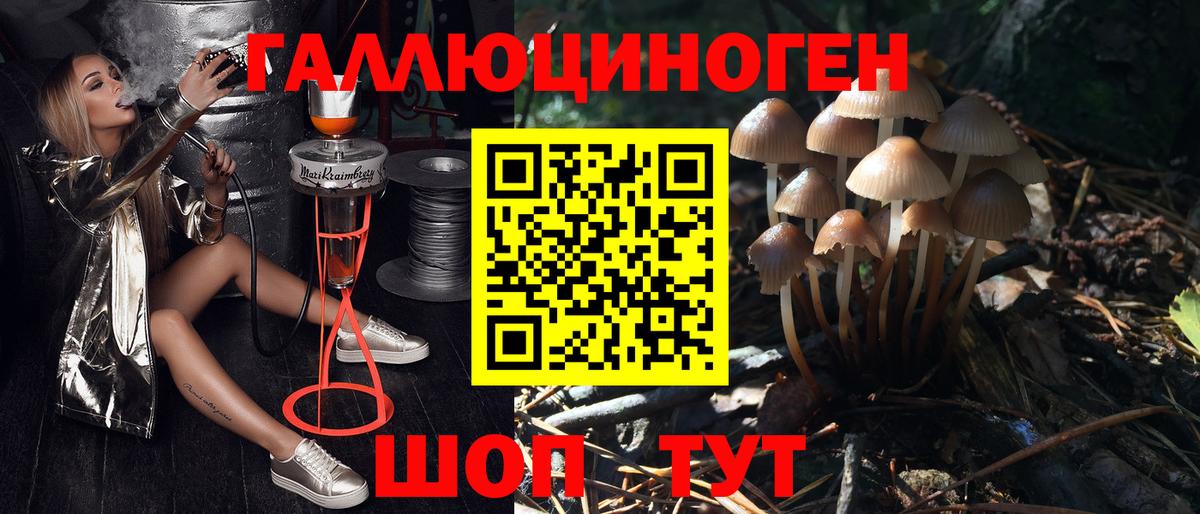 Надым  Псилоцибиновые грибы Magic Shrooms  Вход с VPN 