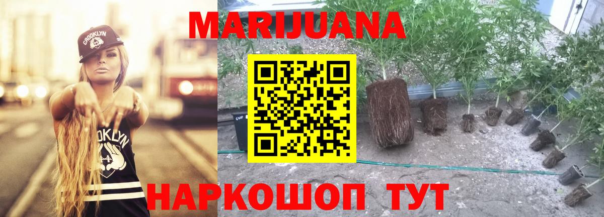 Бошки марихуана гибрид  Вход с VPN  Бошки марихуана ГИДРОПОН  Надым  Марихуана White Widow 